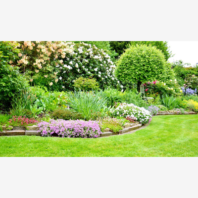 image_Jardinier Disponible pour vos propriétés