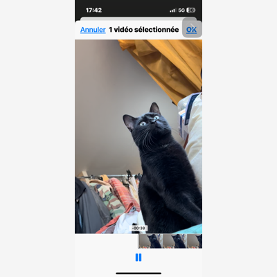 image_Monsieur , bien éduqué , propose tout service à la personne