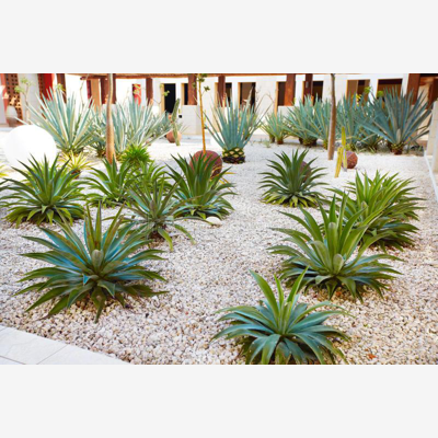 image_Aménagement des jardins