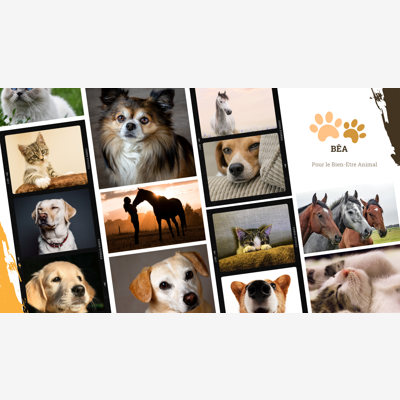 image_Comportementaliste canin, félin et équin et conseillère Fleurs de Bach pour les animaux