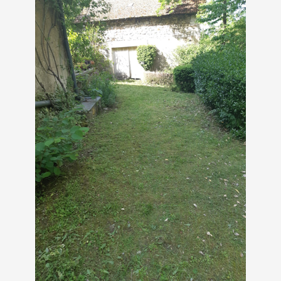 image_Tonte pelouses
