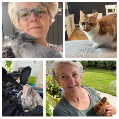 image_Garde d'animaux