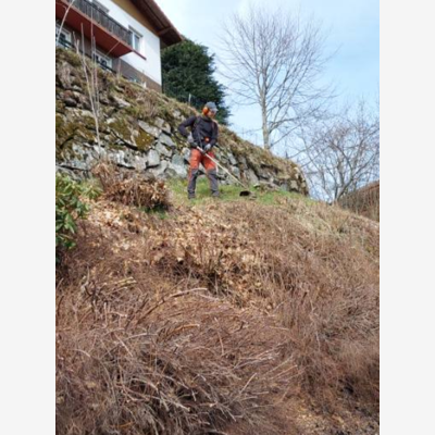 image_Entretien de vos espaces verts, débroussaillage, tonte, taille