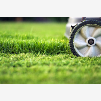 image_Recherche Jardinier