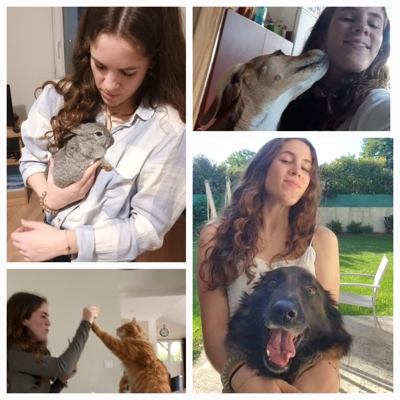 image_Garde pour animaux, visite à domicile pour chien, chat, rongeurs, chevaux, chèvre... Pet-sitting