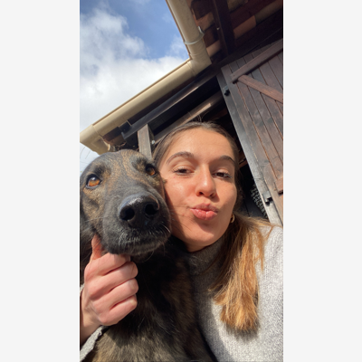 image_Garde de tout animaux et promenades