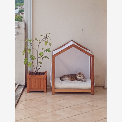 image_Une petloveuse 🌸 comme petsitteuse