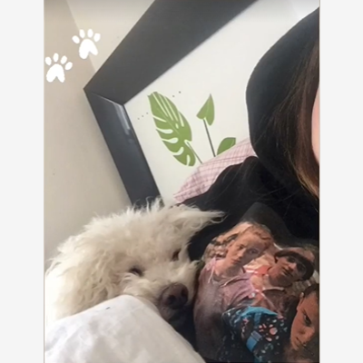 image_Petsitting