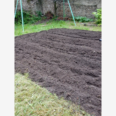 image_Entretien des espaces verts