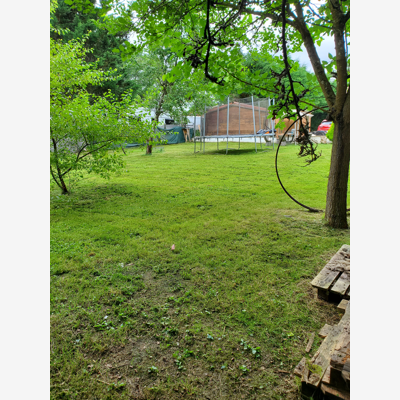 image_Entretien jardin, tonte pelouse, débroussaillage, taille de haie, défrichage ...