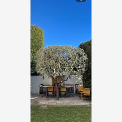 image_Jardinier propose ses services