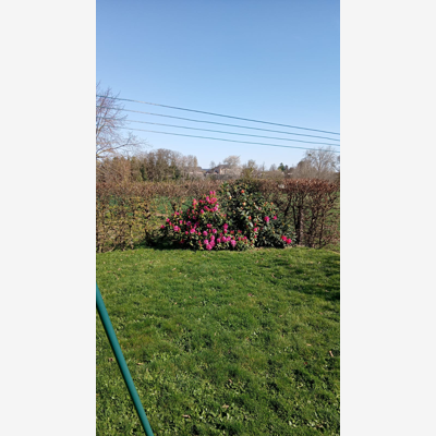 image_Entretien espaces verts