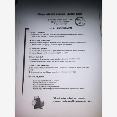 image_STAGE D'ANGLAIS SPEAK AND GO