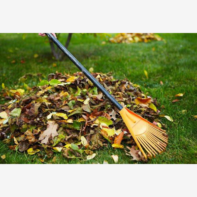 image_Nettoyage jardin