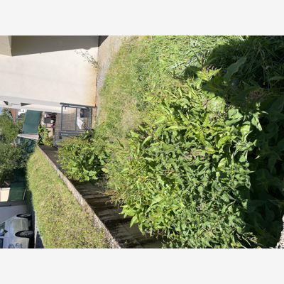 image_Service de jardinage Ouest lyonnais