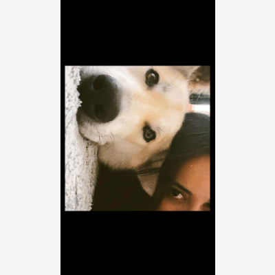 image_Amoureuse des chiens, je veille sur vos compagnons comme s’ils étaient les miens