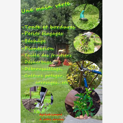 image_Tonte & Entretien Jardin et potager
