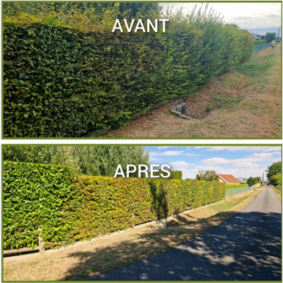 Image annonce