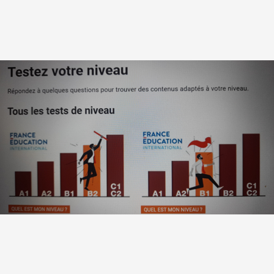 image_Cours de français &Préparation au DELF A1,A2.B1