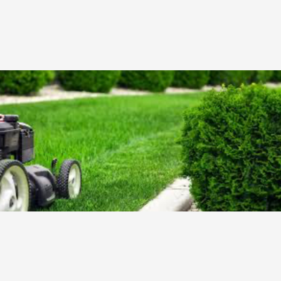 image_🌿 Tonte de Pelouse & Entretien de Jardin – Rapide, Pro et Pas Cher ! 🧑🌾