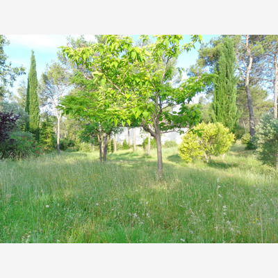 image_Recherche quelqu'un pour petit travaux de jardinage