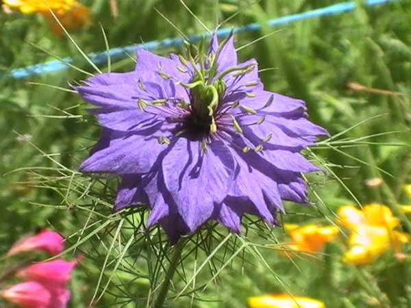 image_jardinage-bricolage