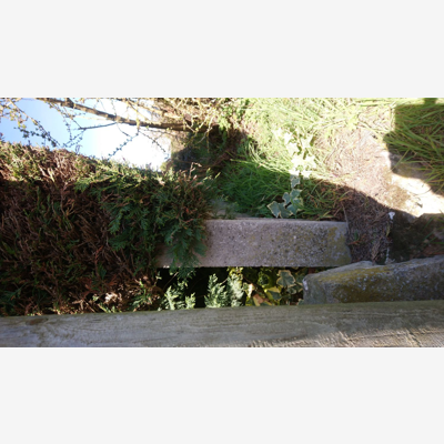 image_FORT ELAGAGE COTE HAIE MITOYENNE