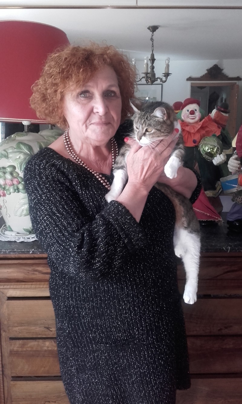image_garde chats et chattes