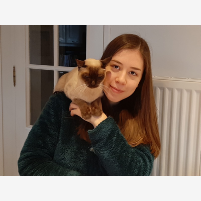 image_Propose garde de chats