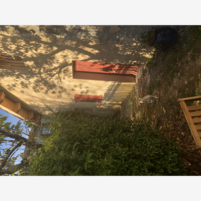 image_Recherche aide menagere
