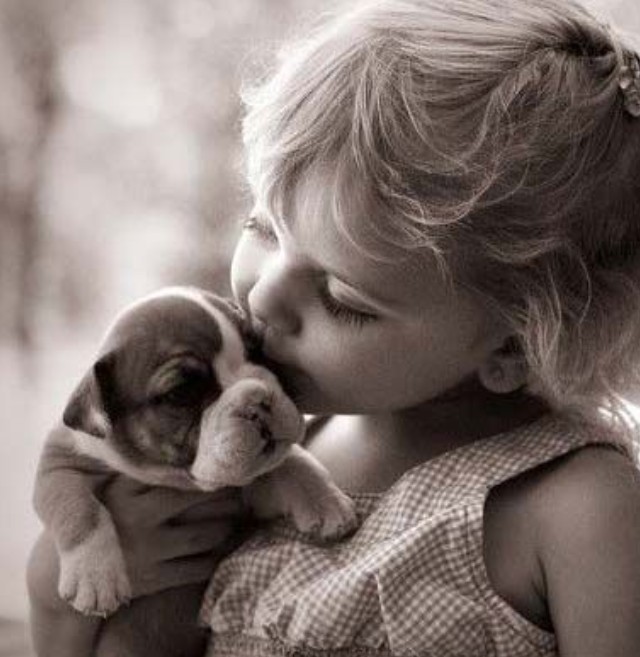 image_Prendre soin de vos précieux animaux