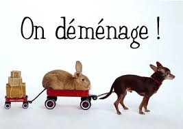 image_AIDE AU DEMENAGEMENT