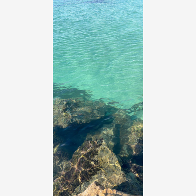 image_Aide ménager