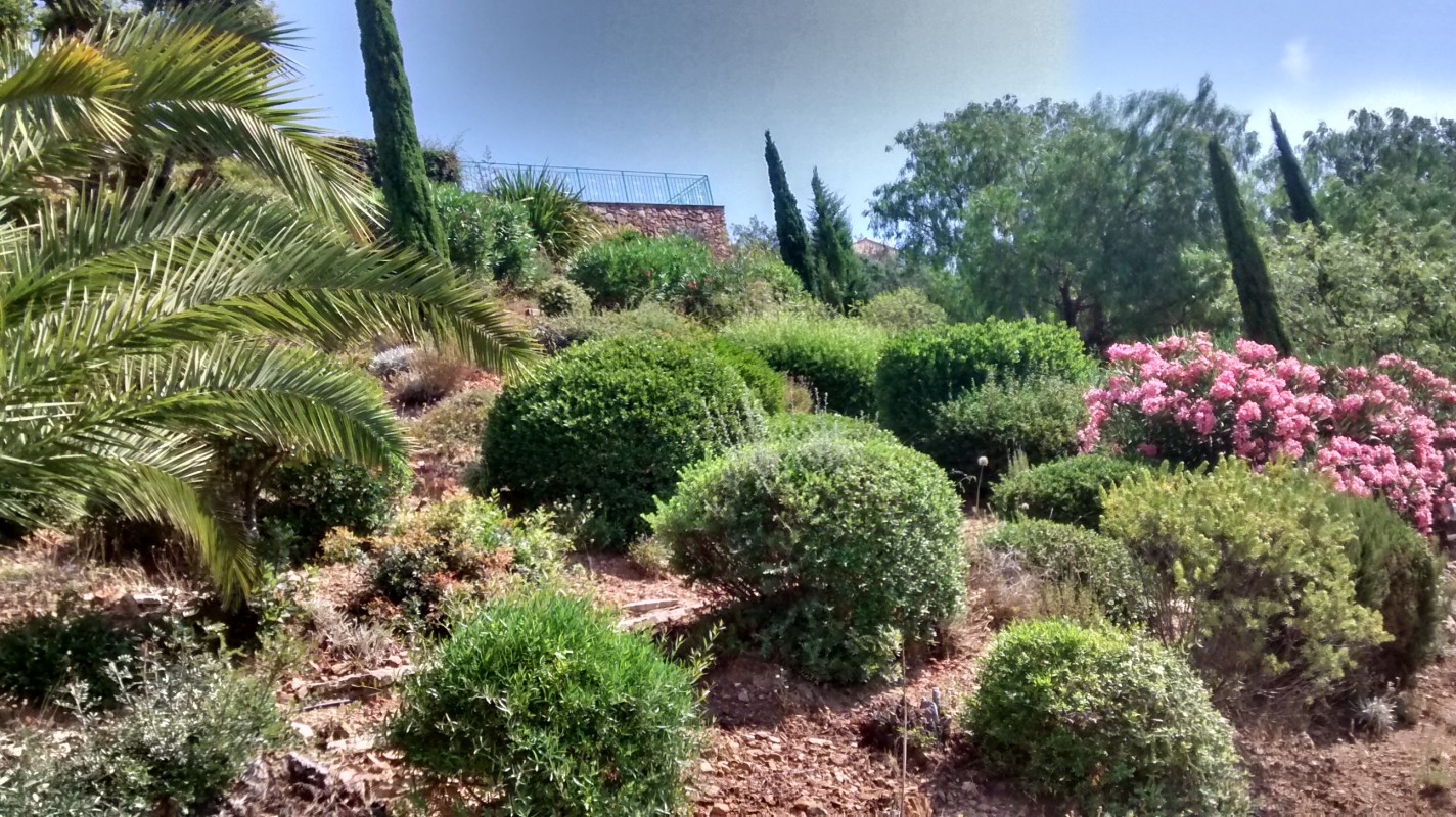 image_Entretien espaces-verts