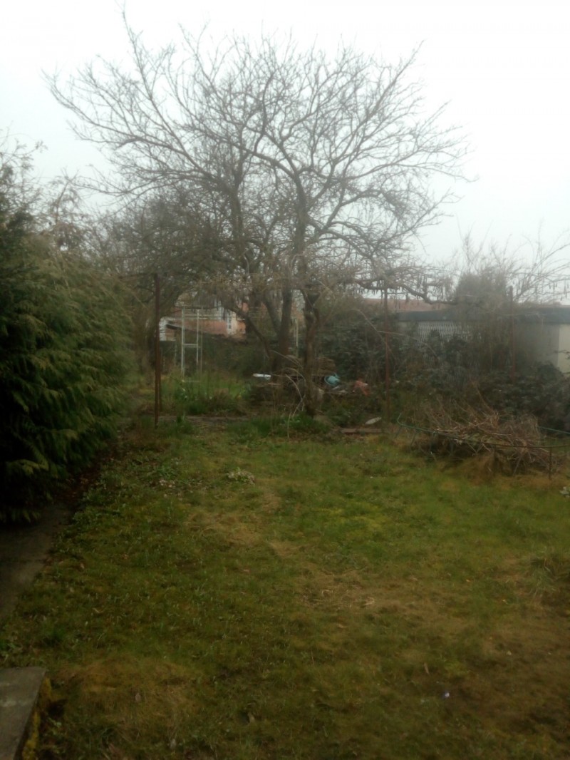 image_Garde chiens avec Jardin/Promenades