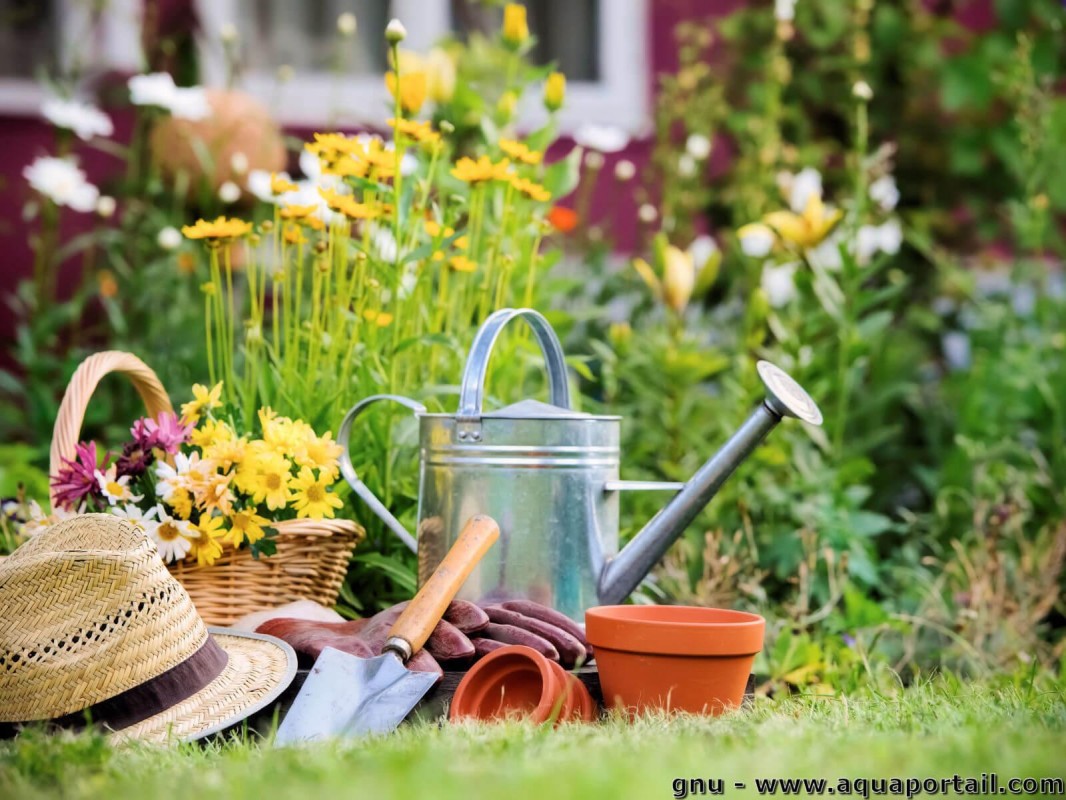image_Jardinage, Bricolage etc
