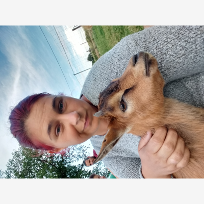 image_Garde d animaux