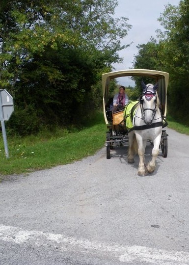 image_Cours particulier à cheval