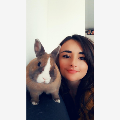 image_Propose de chouchouter vos animaux