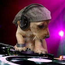 image_DJ 60's 90's - DJ The Pap"E"