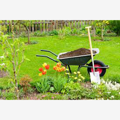 image_aide jardinage
