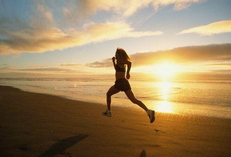image_coach sportif en musculation