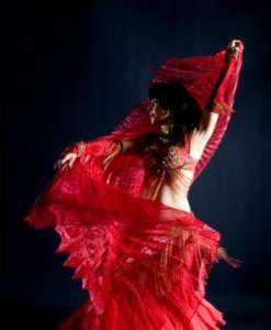 image_Danseuse orientale pour vos soirées à Tours