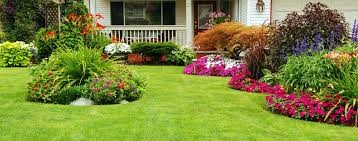 image_Collect'Eure, au service de votre jardin