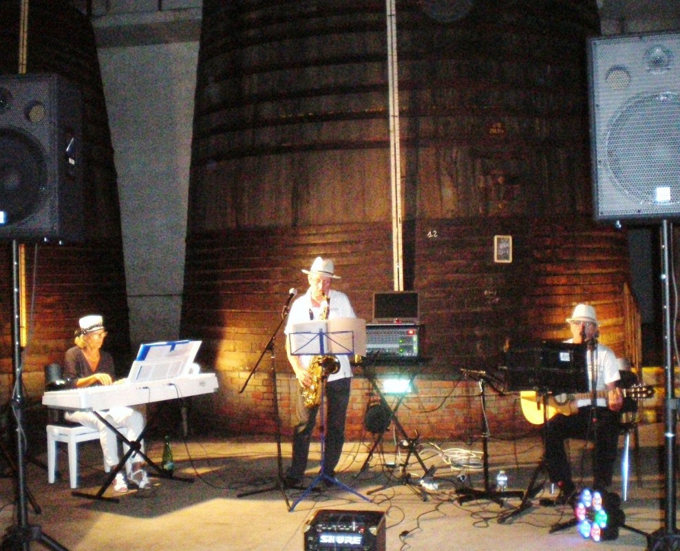 image_concert et animation musicale