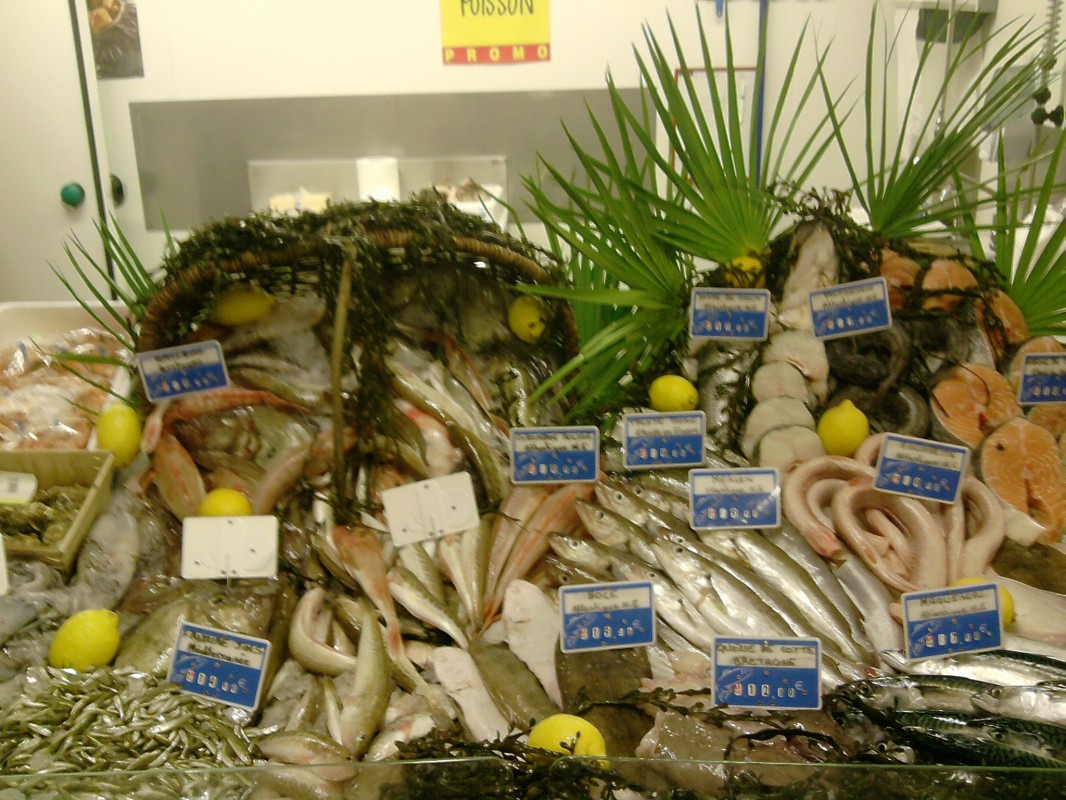 image_poissonnier
