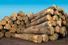image_bois de chauffage