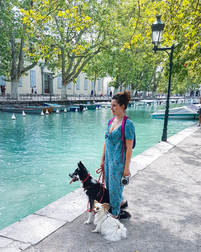 image_garde d'animaux