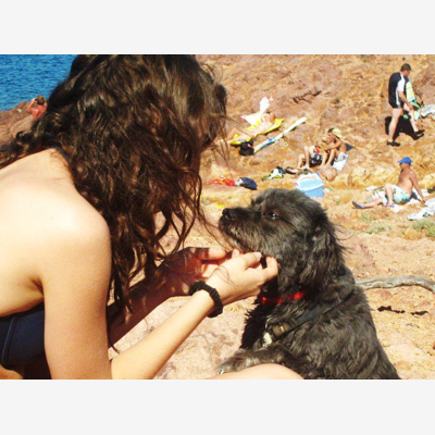 image_Cat & Dog sitter expérimenté (domicile ou visite)