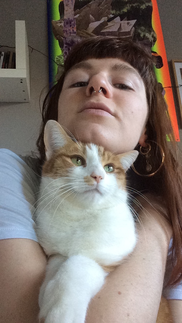 image_Garde d'animaux